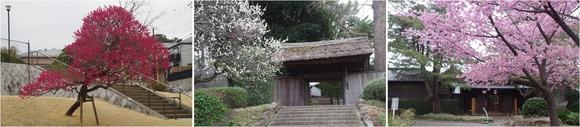 20250308_˒@.JPG