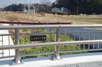 20250322_V.JPG