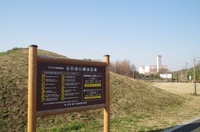 20250322_V.JPG