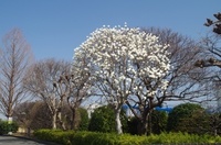 20250322_ؘ@.JPG
