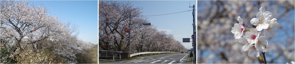 20250405_R464勴.JPG