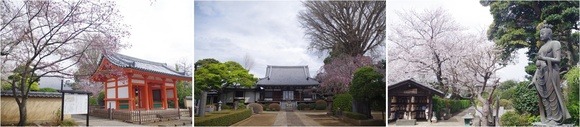20250406_㑍.JPG