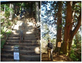 210161203_山頂への道.jpg