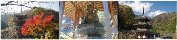 210161203_浄発願寺.jpg